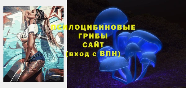 ПСИЛОЦИБИНОВЫЕ ГРИБЫ Алексин