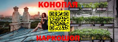 гидра Берёзовский