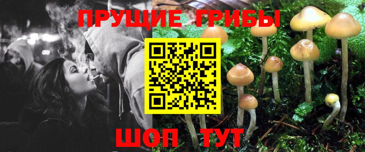 Кимры  Псилоцибиновые грибы Psilocybine cubensis  Вход с VPN  где продают   Псилоцибиновые грибы мухоморы 