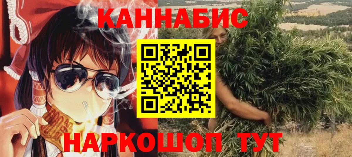 Конопля сатива Кимры